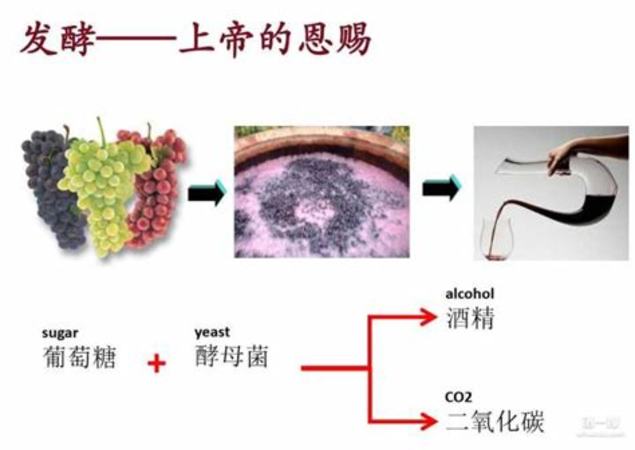 揭秘葡萄酒瓶的变脸术,葡萄酒瓶为什么不一样