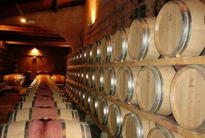 法国红酒葡萄品种,红酒葡萄有多少品种
