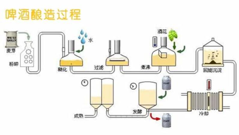 什么葡萄适合酿红酒,酿葡萄白酒用什么葡萄