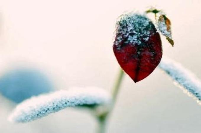 雨雪雾露霜雹的物态变化分别是什么,霜雹是什么颜色的