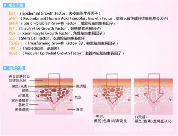 法餐为什么要配酒,吃法餐如何搭配葡萄酒