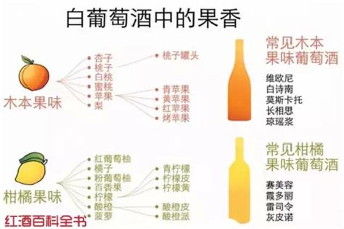 河南什么酒出名,关键词