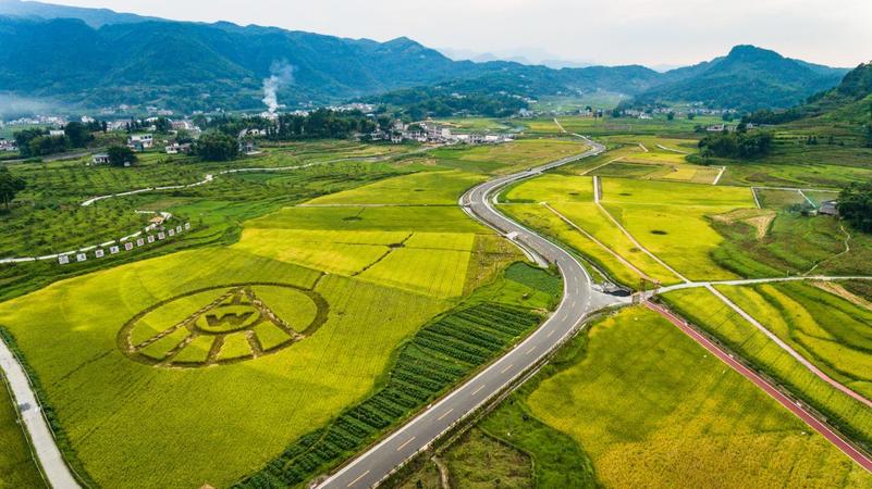 五粮液酿酒粮基地(五粮液酿酒专用粮基地)