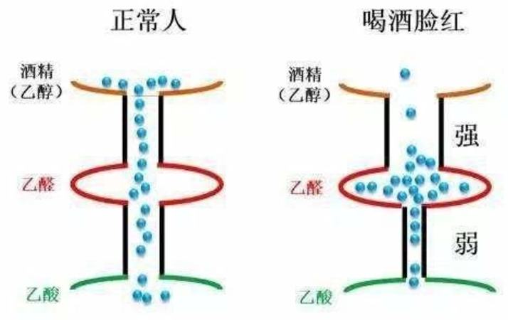 酒量大的人不在其中,关键词