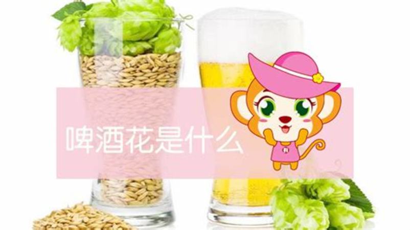 那就种棵啤酒花,关键词