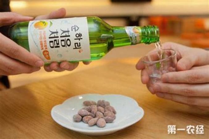 纯饮喝什么酒,为什么我觉得白酒那么难喝