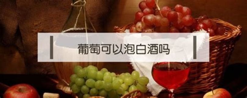 为什么葡萄酒有泡泡怎么办,葡萄酒有气泡产生