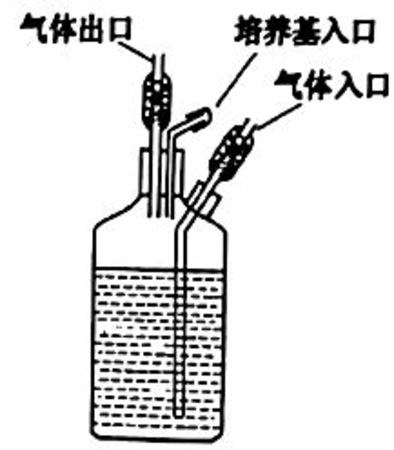 发酵酒饭酸是什么原因,彝族酿的是什么酒