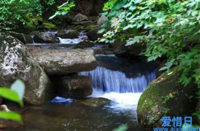 庐山什么酒好,贵州大曲生肖虎的庐山真面目