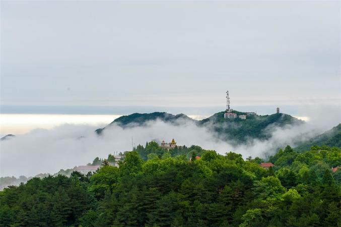 鸡公山十年45度多少钱(鸡公山头曲45度多少钱)