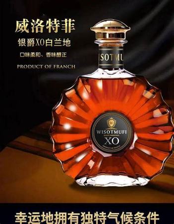 酒吧里都有什么啤酒,啤酒有65大类