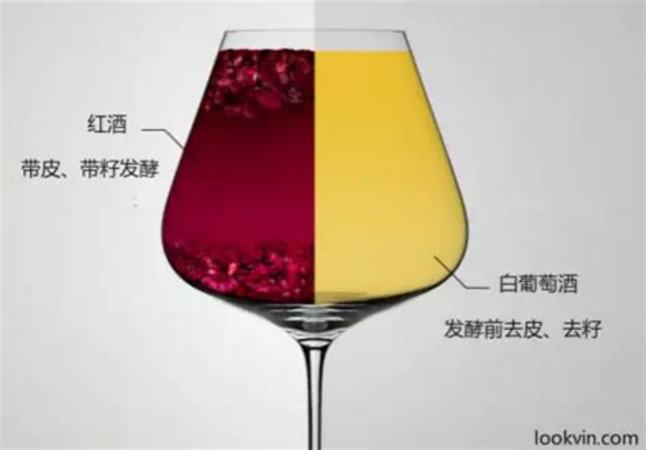 白色t恤染红酒怎么洗,好想把这件白T弄脏