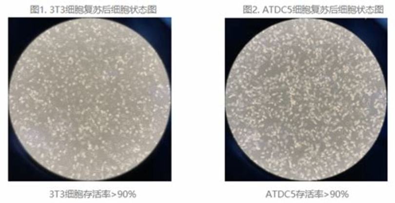 哪里学竹酒技术,竹酒种出致富路