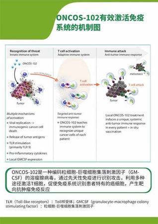 张华酒是什么酒,张恩华是因喝酒去世的吗