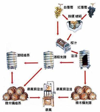 红酒为什么特别酸,为什么别人都说好喝