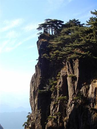 黄山松酒哪个好,石榴酒现在还有吗