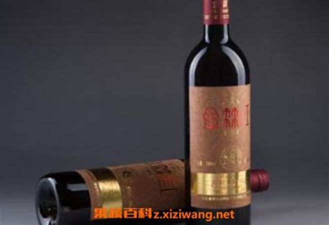 如何做沙棘酒,西贝沙棘汁怎么做