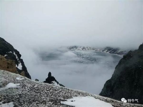 山东秦池还有什么酒,山东为什么没有名酒