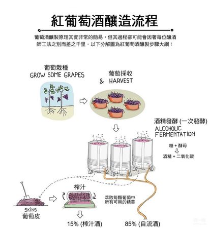 酿造葡萄酒过程详解(葡萄酒的酿造过程)