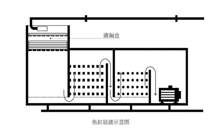 年分久的干邑如何过滤(干邑放久越好)