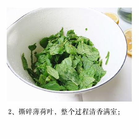 薄荷糖浆怎么做莫吉托,柠檬红茶酸度怎么调